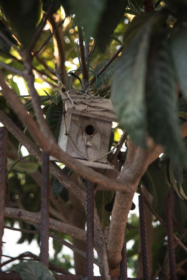 Pensjonat Casa Jacinta Con Jacuzzi Costa Adeje  Zewnętrze zdjęcie